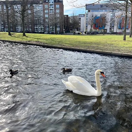 Appartement Separate Privat In Shared With 2 Cats And 1 Person