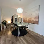 Separate Privat In Shared With 2 Cats And 1 Person Düsseldorf
