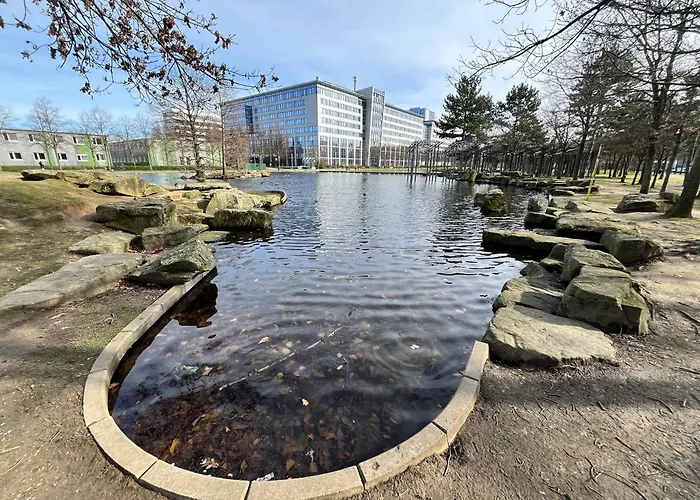 Separate Privat In Shared With 2 Cats And 1 Person *