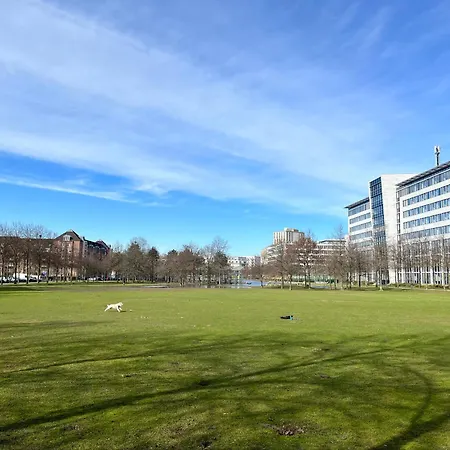 Separate Privat In Shared With 2 Cats And 1 Person *