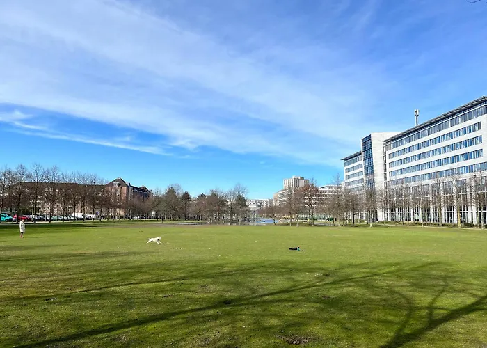 Separate Privat In Shared With 2 Cats And 1 Person *