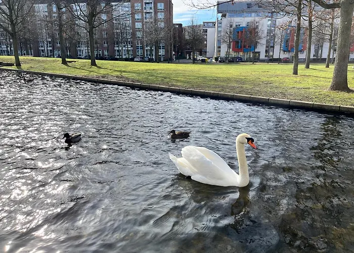 Apartmán Separate Privat In Shared With 2 Cats And 1 Person