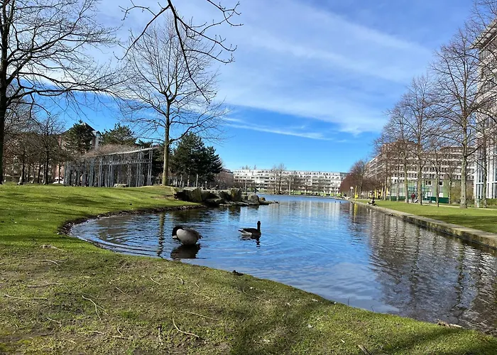 Separate Privat In Shared With 2 Cats And 1 Person