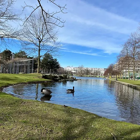 Separate Privat In Shared With 2 Cats And 1 Person