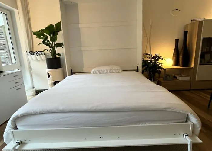 Separate Privat In Shared With 2 Cats And 1 Person Düsseldorf