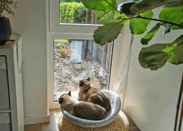 Separate Privat In Shared With 2 Cats And 1 Person Apartman